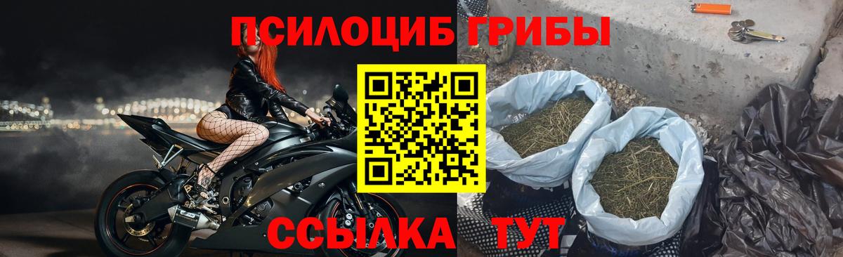 Галлюциногенные грибы GOLDEN TEACHER  Вход с VPN  Азнакаево  Псилоцибиновые грибы Psilocybe 